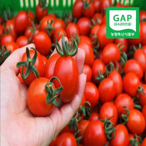 [드리미팜]<br>100%품질포장 GAP인증 대추방울토마토 2kg, 5kg 친환경저탄소