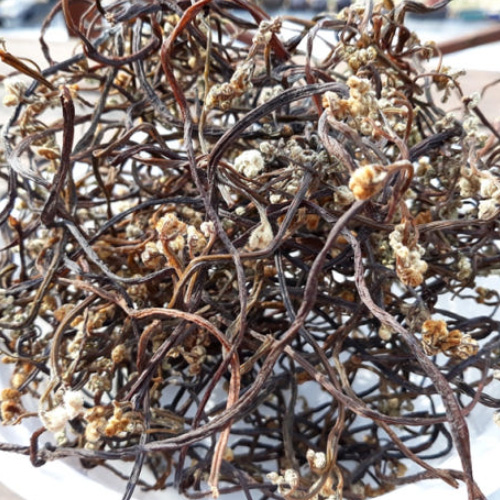 [만석이네농장]<br>자연산 건고사리 100g, 건엉겅퀴(밀크시슬) 300g