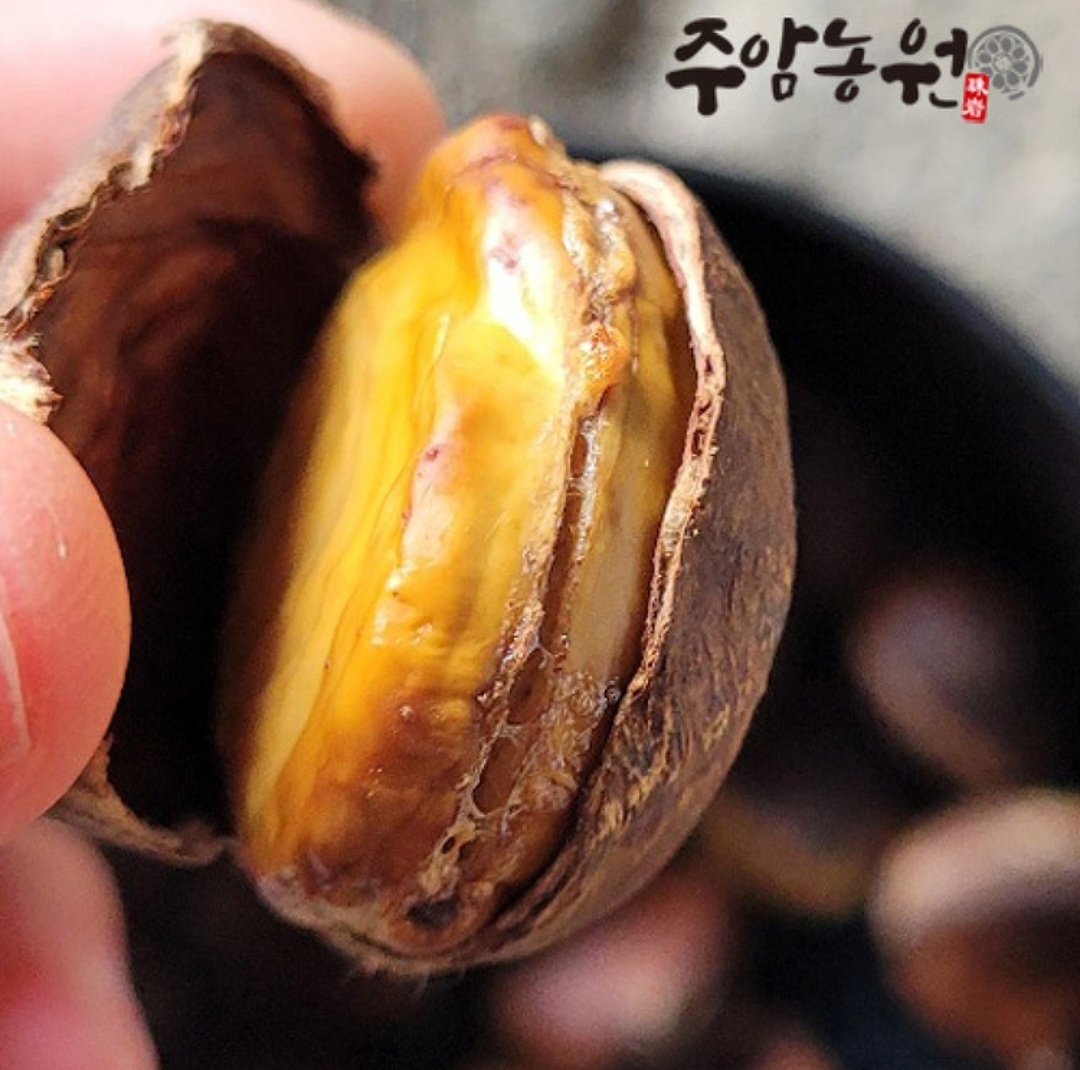 [주암농원] 청정한 숲 충남 부여 칼집낸 대보밤 1kg 